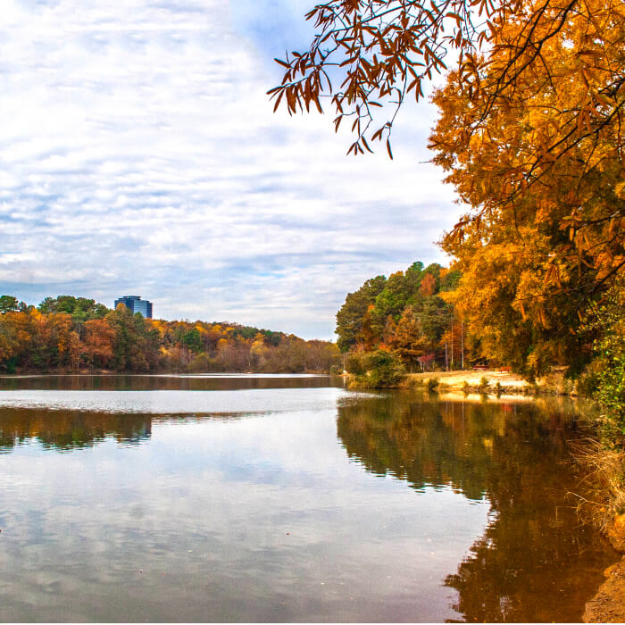 Diesel Delivery Dunwoody