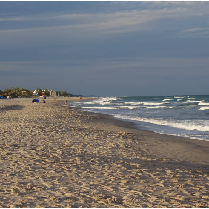 Diesel Delivery Delray Beach