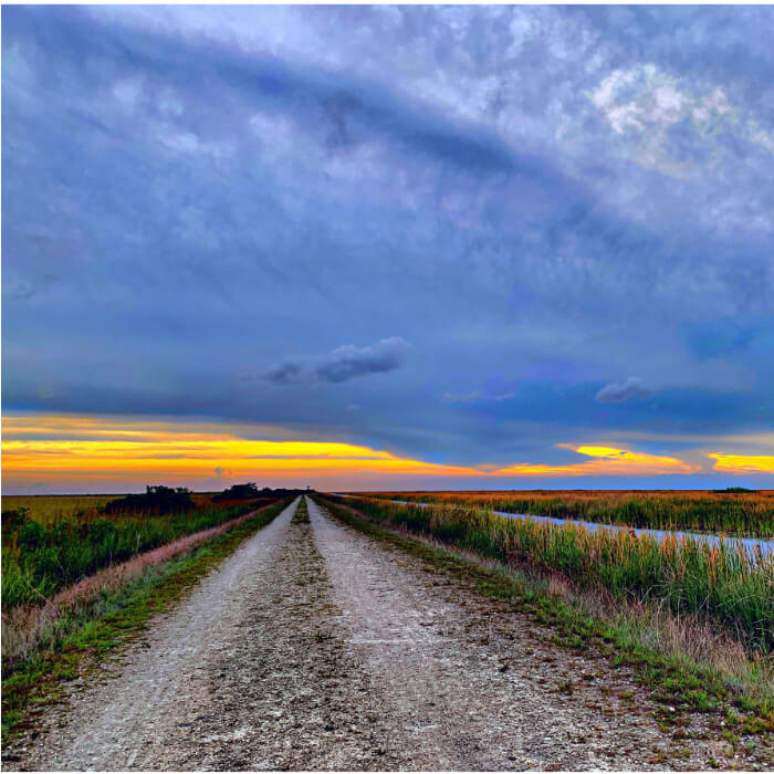 Diesel Delivery Davie