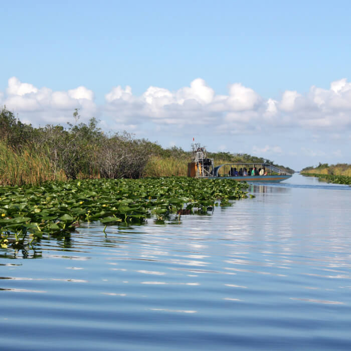 Diesel Delivery Homestead