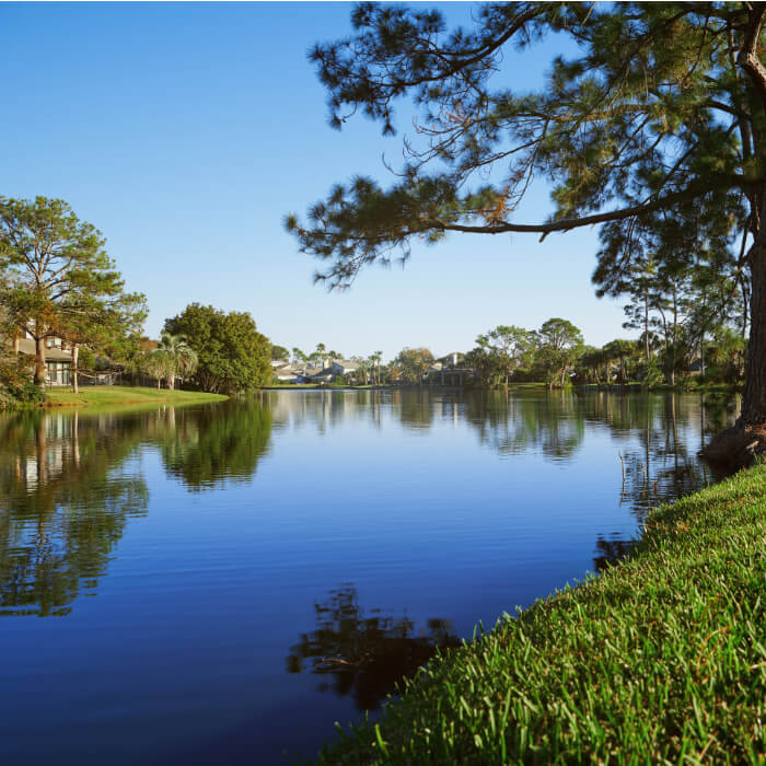 Diesel Delivery Palm Harbor