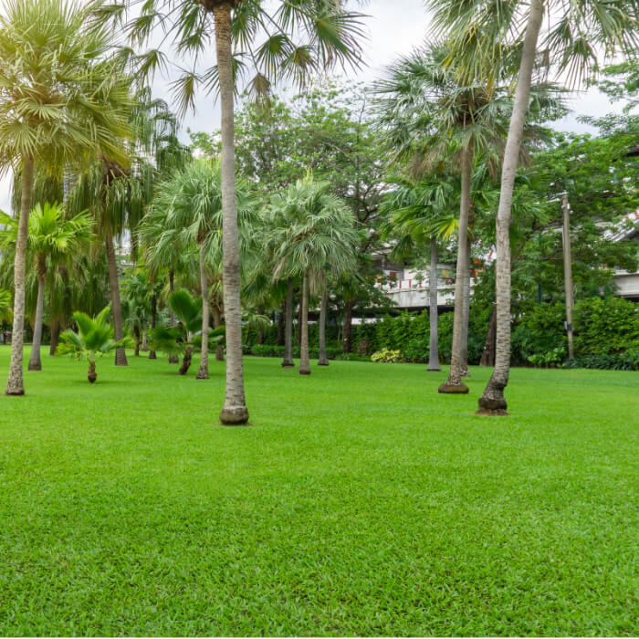 Diesel Delivery Poinciana