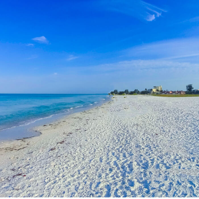 Diesel Delivery Riverview