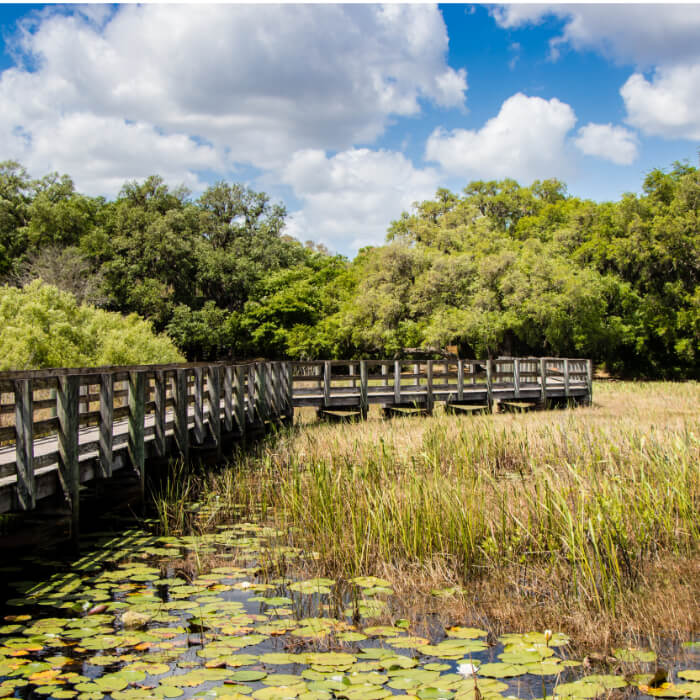 Diesel Delivery Spring Hill