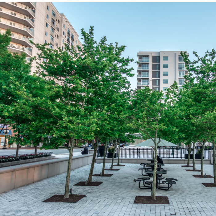 Diesel Delivery Virginia Beach